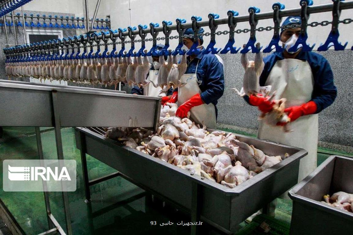 عرضه ۶۵ هزار تن گوشت مرغ در ۱۰ روز پایانی خرداد امسال