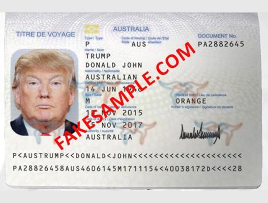 Download fake driver license template