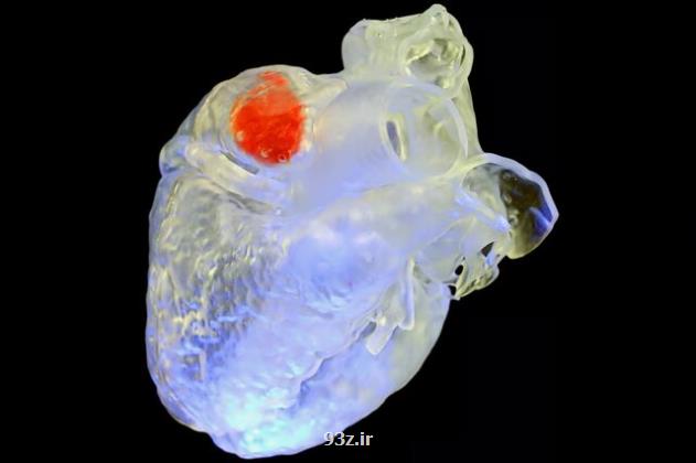 چاپ ۳ بعدی اندام در داخل بدن با بهره گیری از فناوری فراصوت