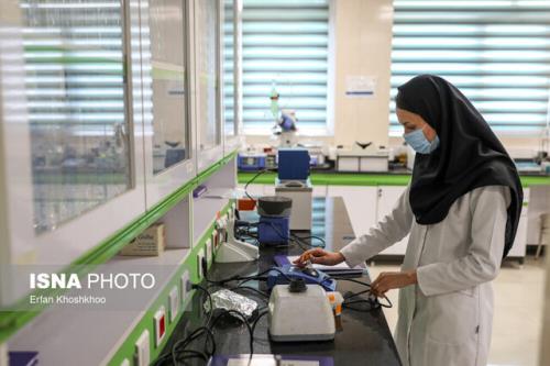 یارانه 50 درصدی خدمات آزمایشگاهی تابستانه برای دانشگاهیان