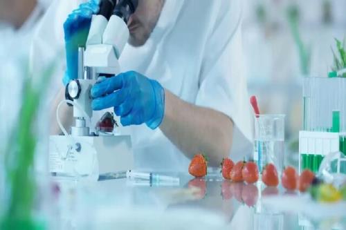 تحولی در بسته بندی مواد غذایی با توسعه ماده ای جدید