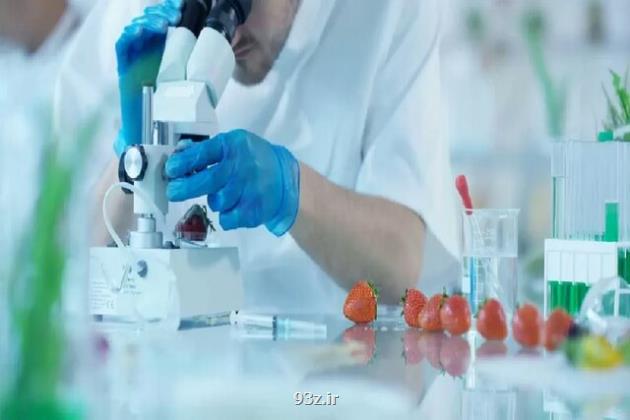 تحولی در بسته بندی مواد غذایی با توسعه ماده ای جدید
