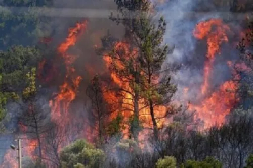 نجات جنگل های هیرکانی از آسمان نقش ماهواره خیام در مهار آتشسوزی
