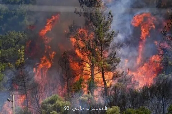 نجات جنگل های هیرکانی از آسمان نقش ماهواره خیام در مهار آتشسوزی