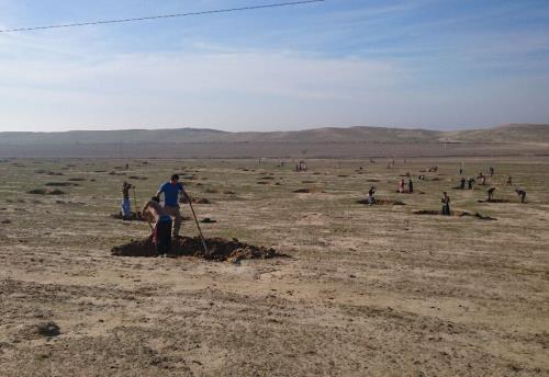 بیابان های گلستان برای احیا به بخش خصوصی واگذار می شود